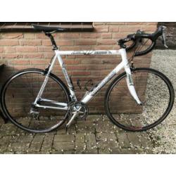 Cannondale Caad7, 58 cm, Ultegra / DT Swiss
