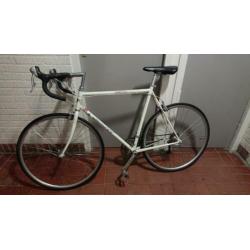 Racefiets Giant Peloton