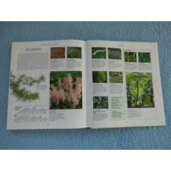Tuinen in stijl , John Brookes . Groen boekerij.