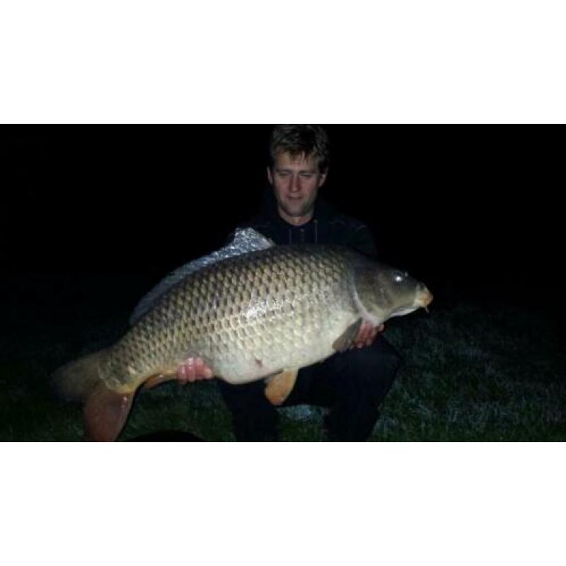 Betaine van dskpellets!