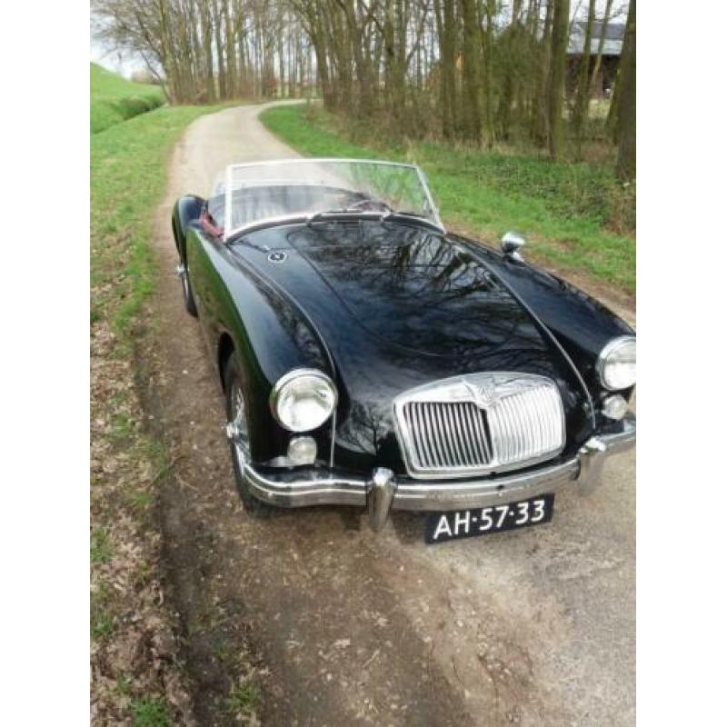 Mg a 1600
