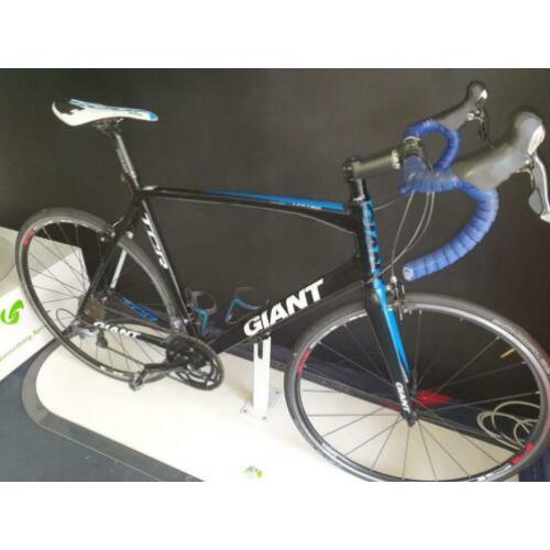 Giant TCR Limited