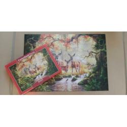 4 puzzels van 1000/500