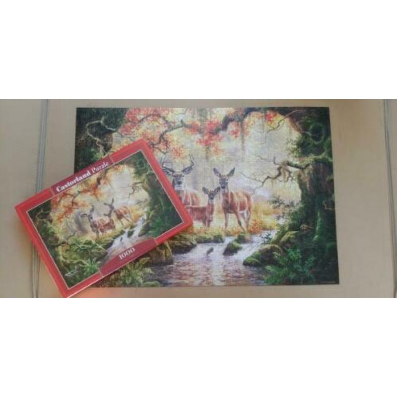 4 puzzels van 1000/500