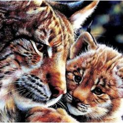Diamond Painting inclusief lijst