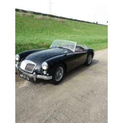 Mg a 1600