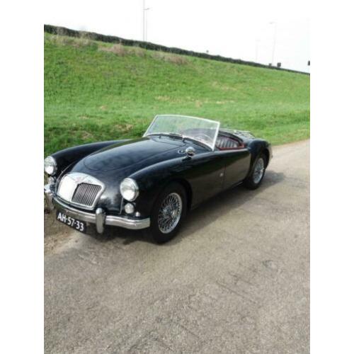 Mg a 1600