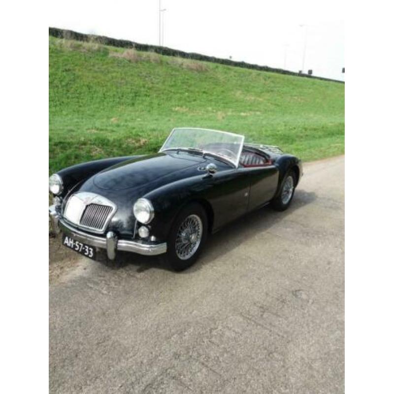 Mg a 1600