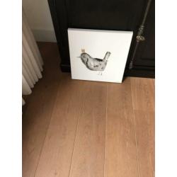 Schilderij vogel met de kroon