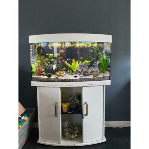 Juwel rio vision 180