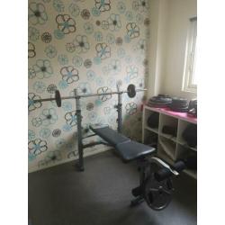 Fitness bank halter incl gewichten