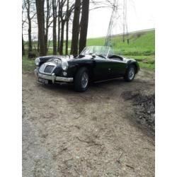 Mg a 1600