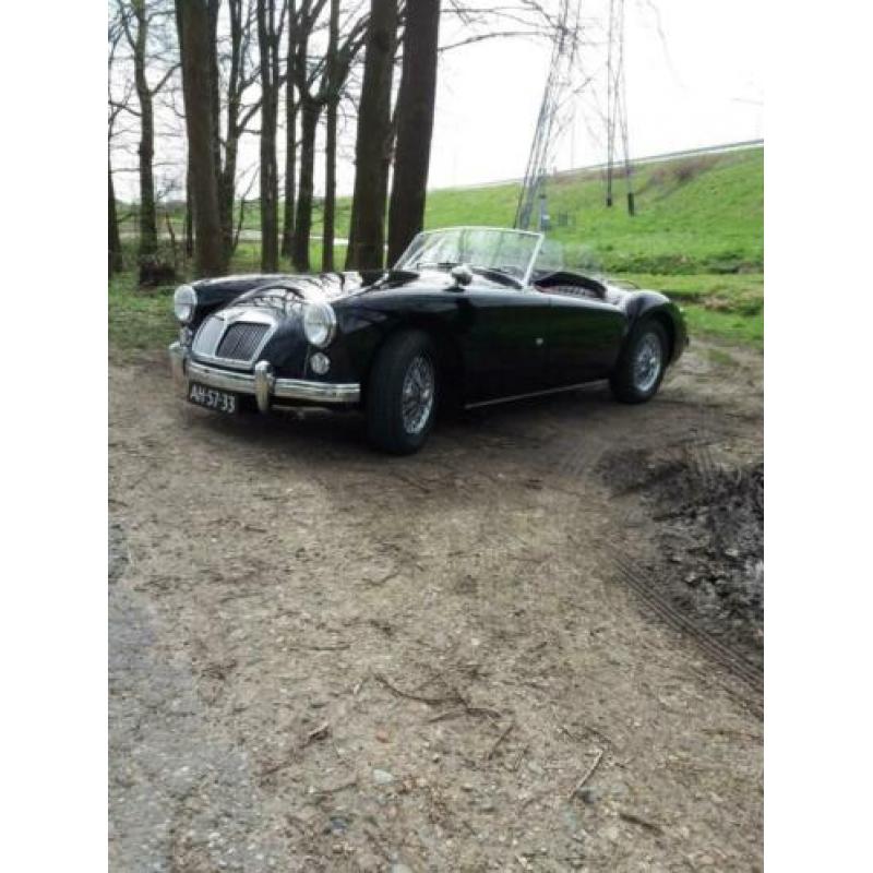 Mg a 1600