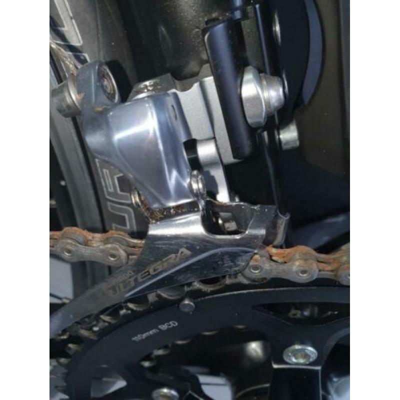 Giant TCR Limited