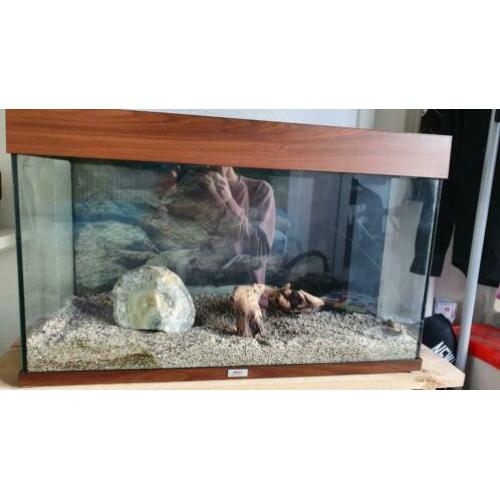 Juwel Aquarium, 50 x 80 x 35,5 incl aantal toebehoren