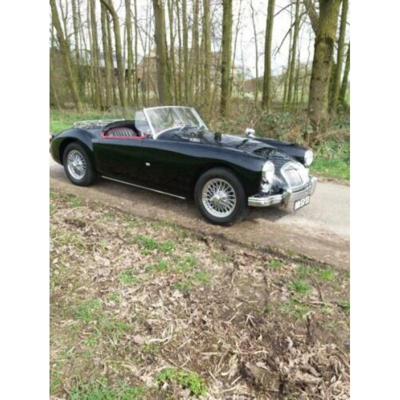 Mg a 1600