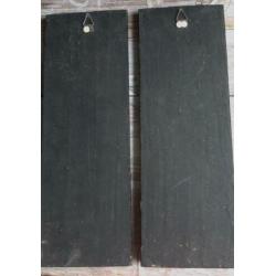 CHINESE PANEELTJES MET PARELMOER * Twee Stuks *