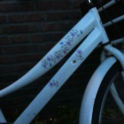 Meisjesfiets 26 inch met mand