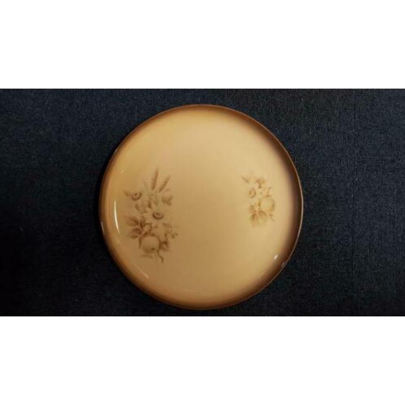 Uitgebreid puntgaaf Engels Servies Denby memories