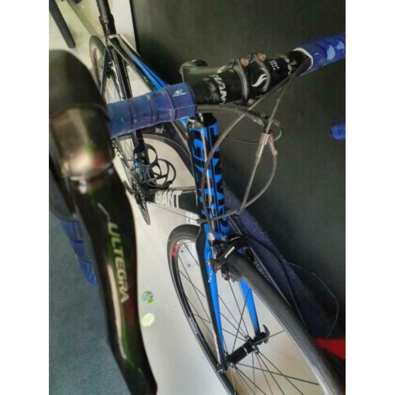 Giant TCR Limited