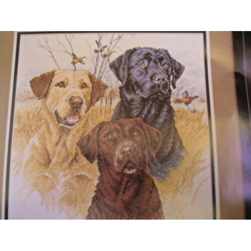 Compleet Borduurpakket, Great Hunting Dogs. Heb ook DMC!
