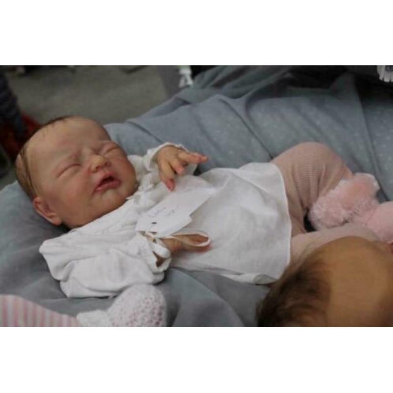 Lucia geboren uit een kitje van A drie stoet ze is 3390 van