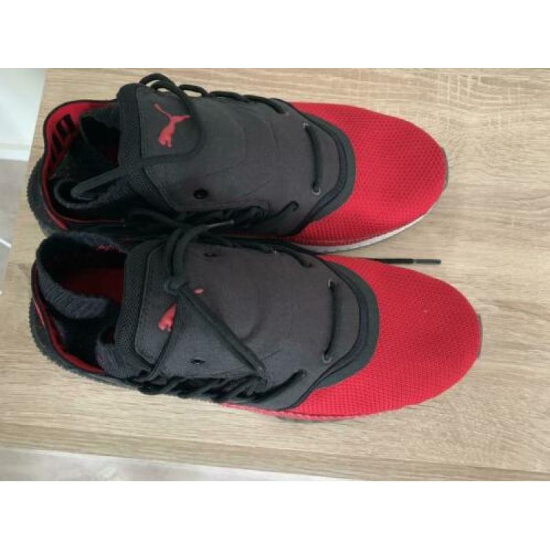 Puma schoenen maat 44