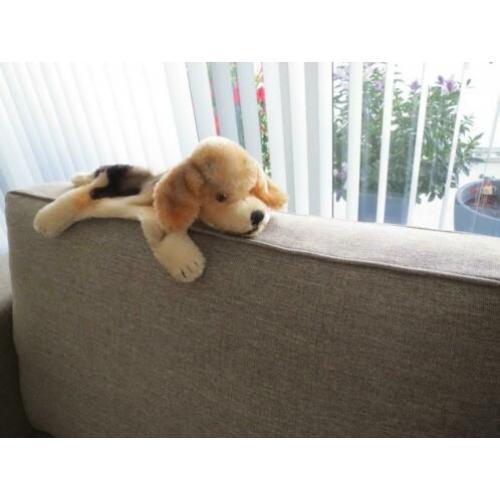 Tk Steiff Beagle Handpop in zeer goede staat.