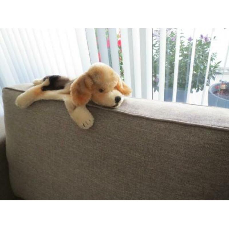 Tk Steiff Beagle Handpop in zeer goede staat.