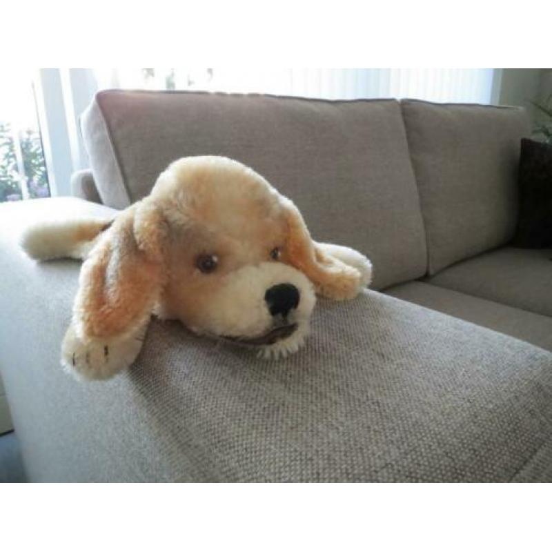 Tk Steiff Beagle Handpop in zeer goede staat.