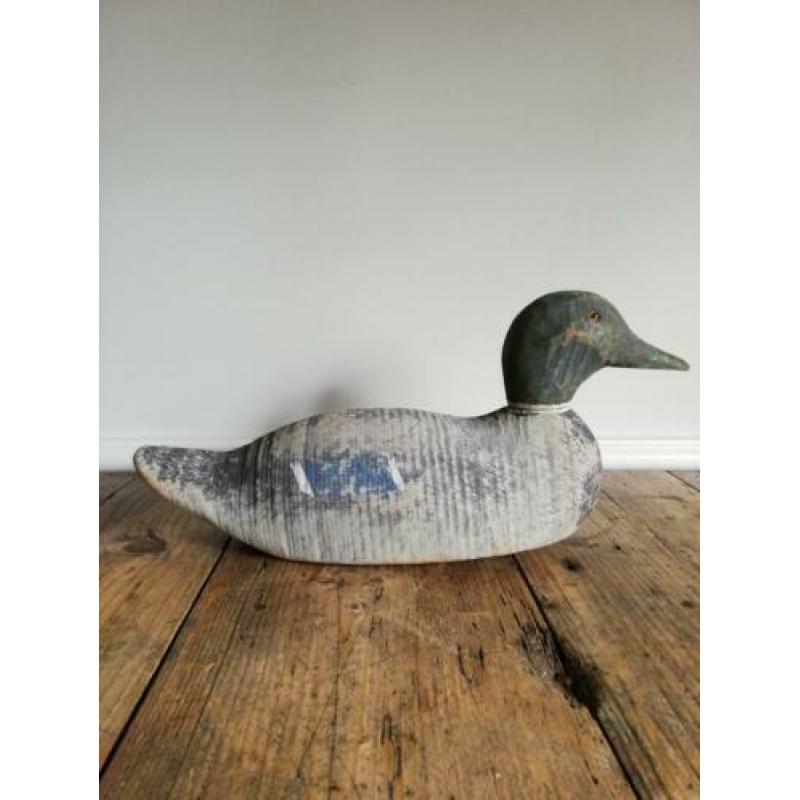 Oude houten lokeend, drijver, decoy ( decoy – lokaas)