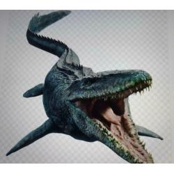 Te koop: Heel veel Mosasaurus tanden.