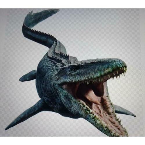 Te koop: Heel veel Mosasaurus tanden.