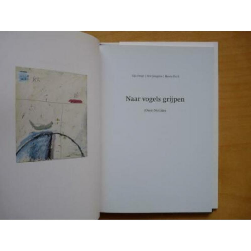 Naar vogels grijpen Gijs Dragt / Atte Jongstra