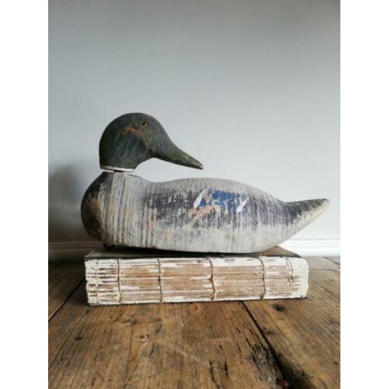 Oude houten lokeend, drijver, decoy ( decoy – lokaas)