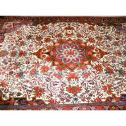 Perzisch- Iran handgeknoopt Unieke tapijt (Bidjar) 300x195cm