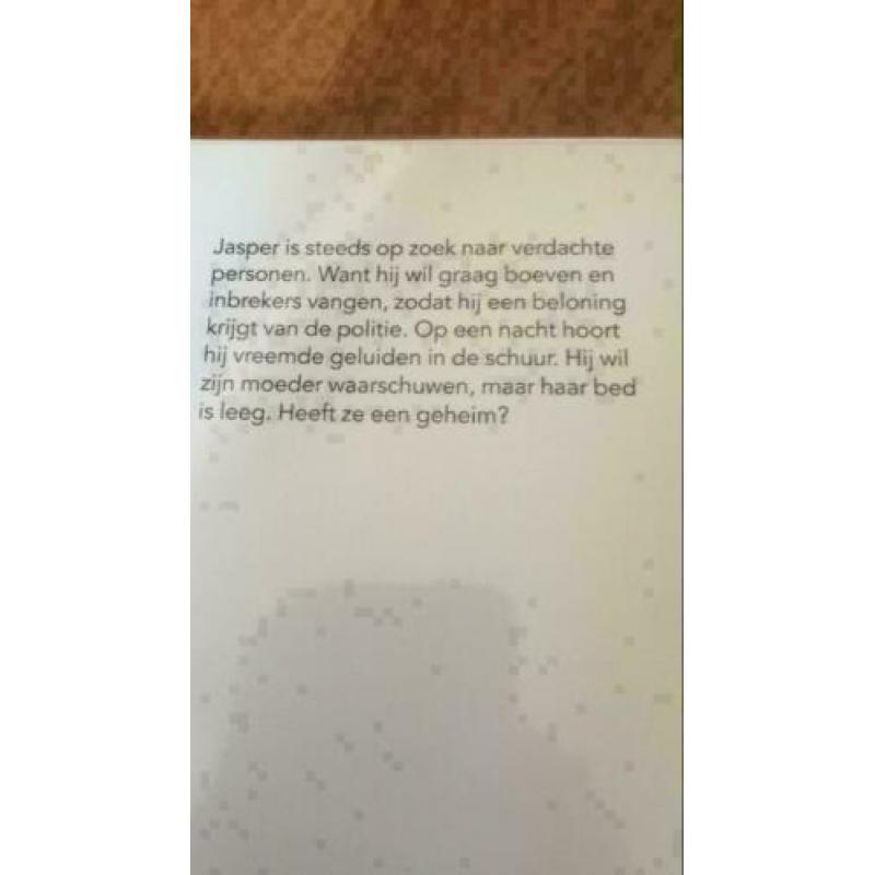 De inbreekmoeder van Liesbeth van der Jagt