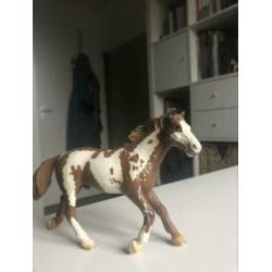 Schleich Pinto set