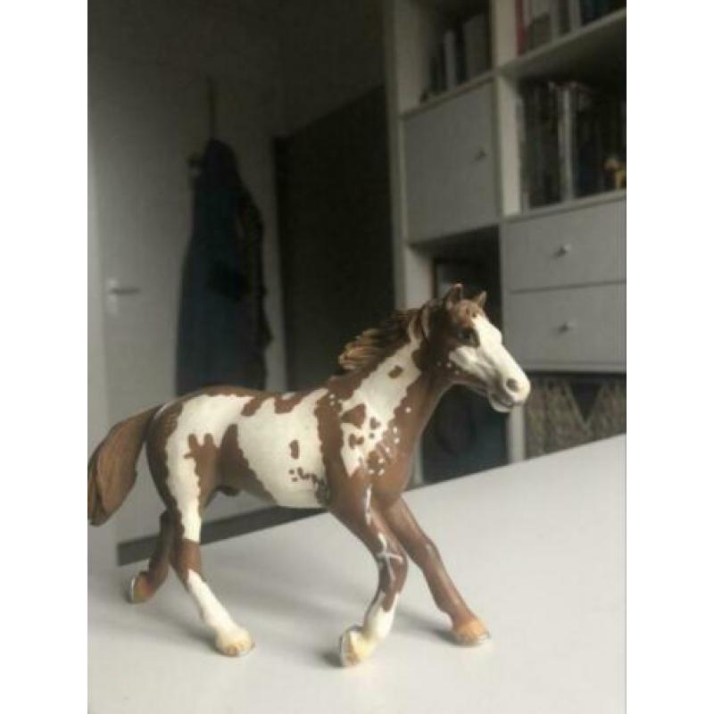 Schleich Pinto set