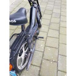 Tomos snor