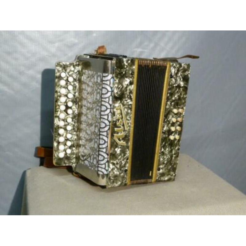 Zelfspelende Playback Accordeon