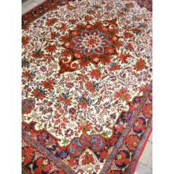 Perzisch- Iran handgeknoopt Unieke tapijt (Bidjar) 300x195cm