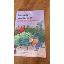 De inbreekmoeder van Liesbeth van der Jagt