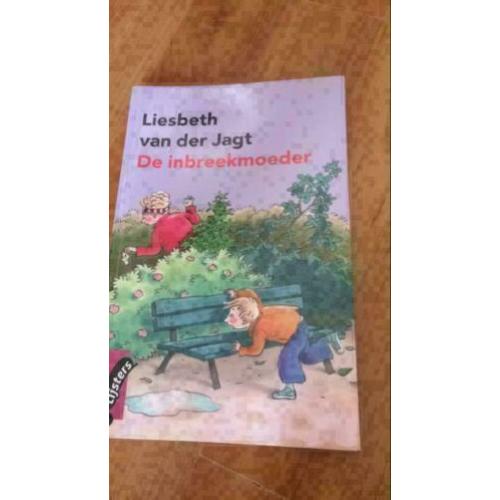 De inbreekmoeder van Liesbeth van der Jagt