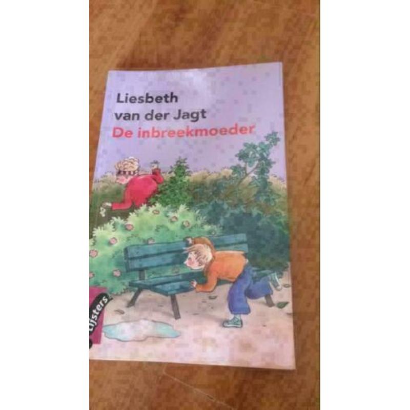 De inbreekmoeder van Liesbeth van der Jagt