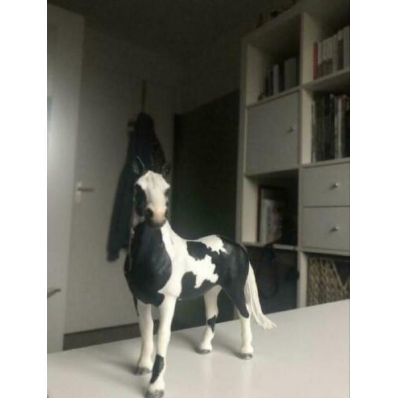 Schleich Pinto set