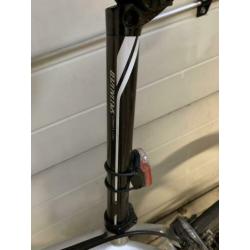 Specialized roubaix carbon ultegra 58