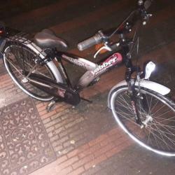 26inch alpina yabber 3 versnellingen vork vering