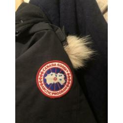 Canada goose has