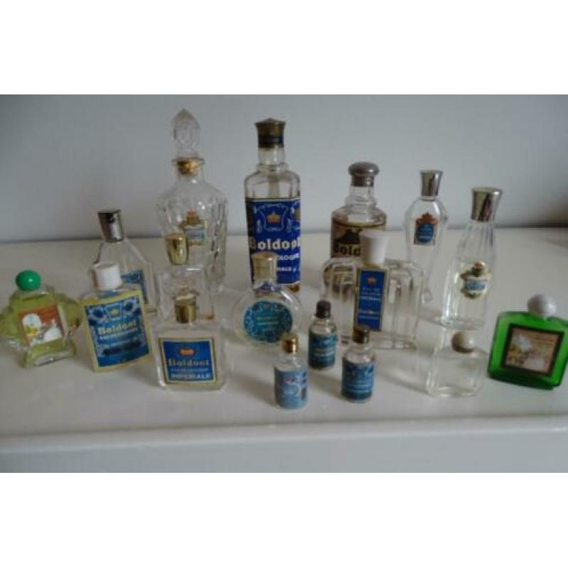 boldoot,fles